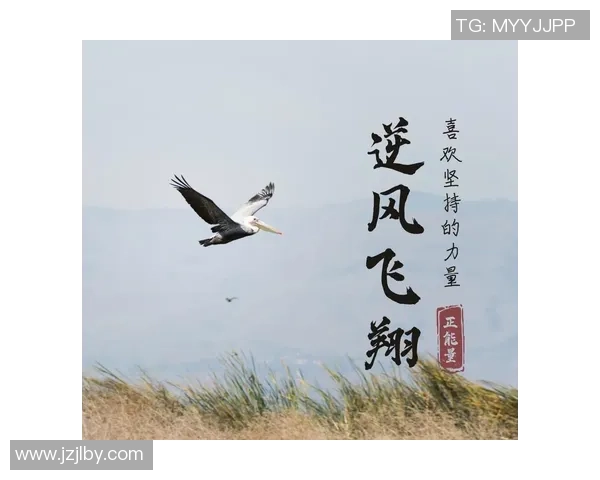 付豪的奋斗历程与成长故事揭示了青春的坚持与梦想的力量