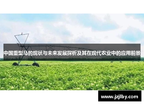 中国重型马的现状与未来发展探析及其在现代农业中的应用前景