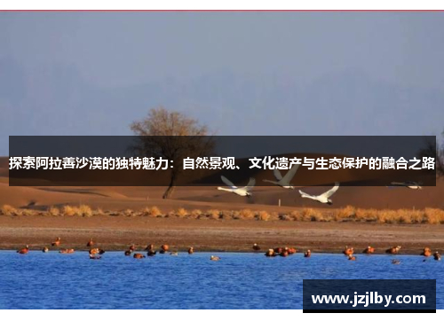 探索阿拉善沙漠的独特魅力：自然景观、文化遗产与生态保护的融合之路